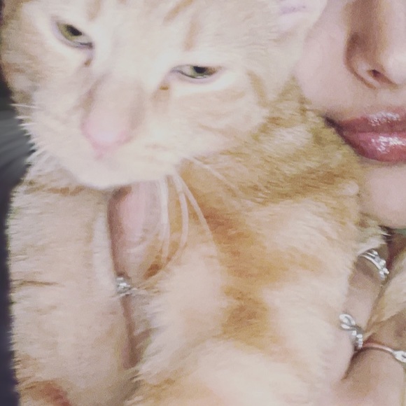 Meet your Posher, Dorothy - Picture 10 of 13